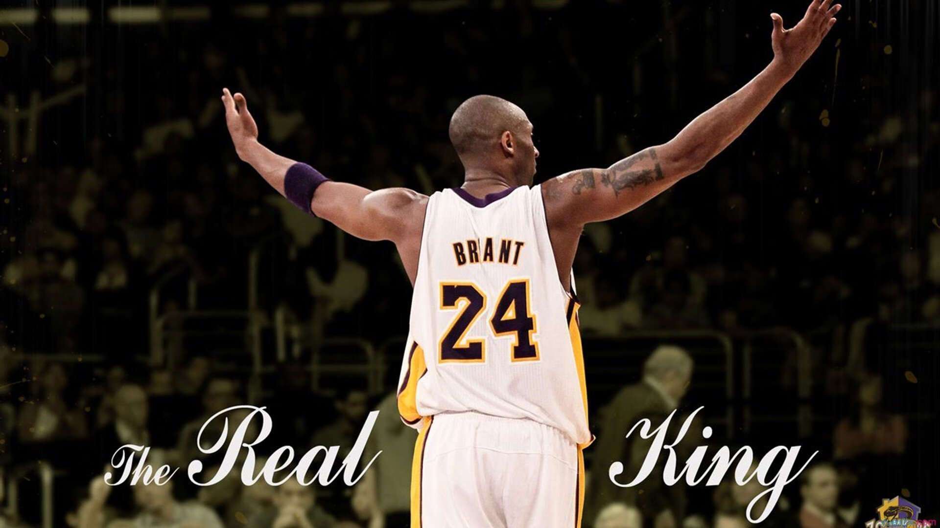 “极速追逐：瞬间超车让全场沸腾”，极速追赶